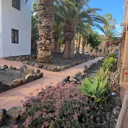 Fuerte Happy Corralejo